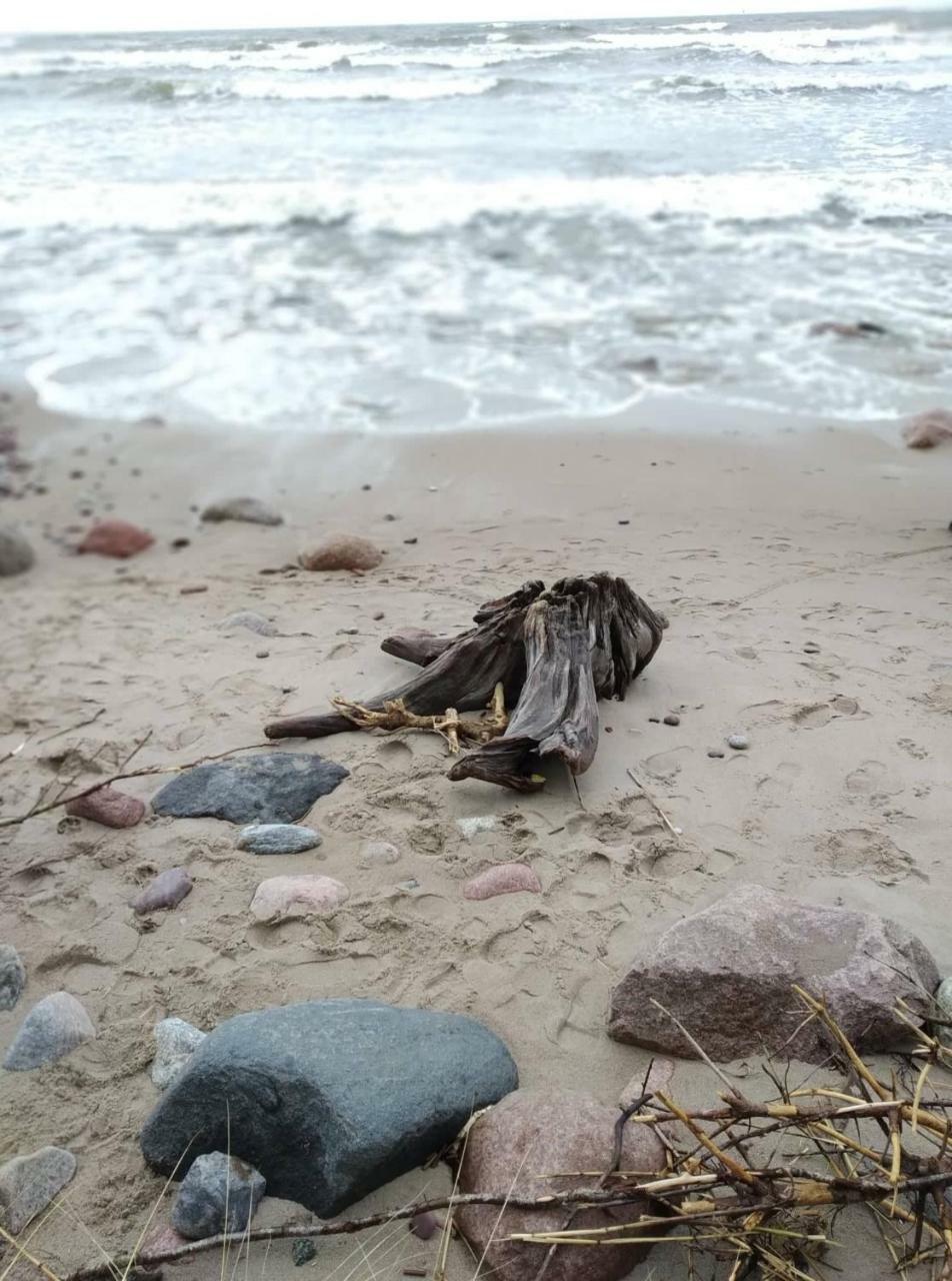 Appartamento Yzzi Palanga Esterno foto